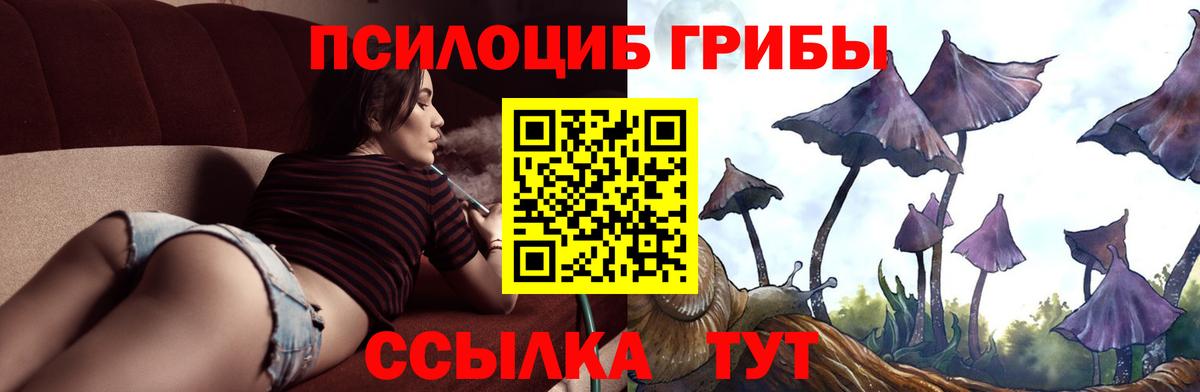 Псилоцибиновые грибы Cubensis  Вход с VPN  Элиста 